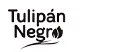 Tulipan negro