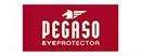 Pegaso