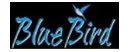 Blue bird